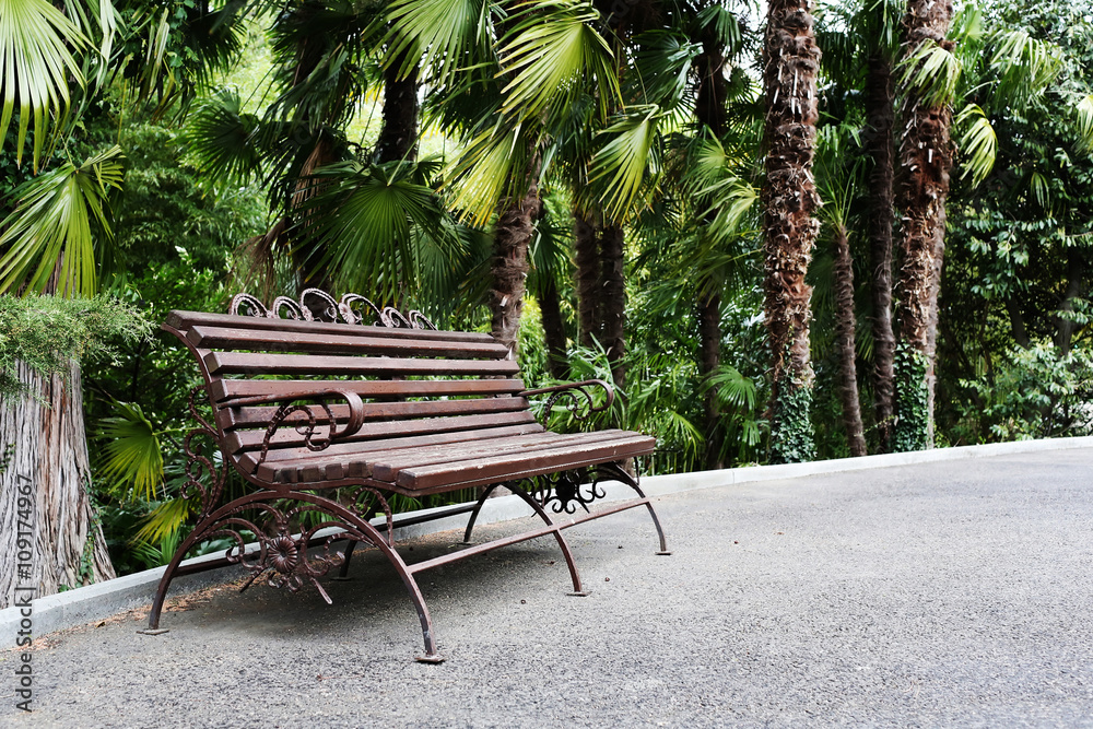 Obraz premium Wooden bench in the park