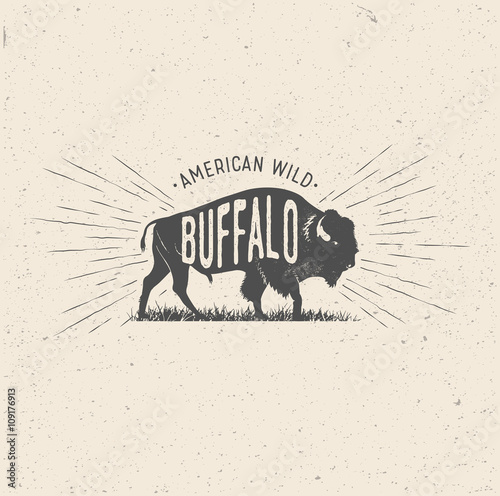 Wild Buffalo. Vintage styled vector illustration of the american buffalo.  photo