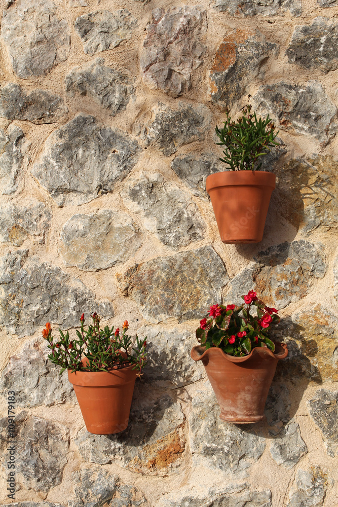 cute blooming flowers in clay pots hung on the stone wall