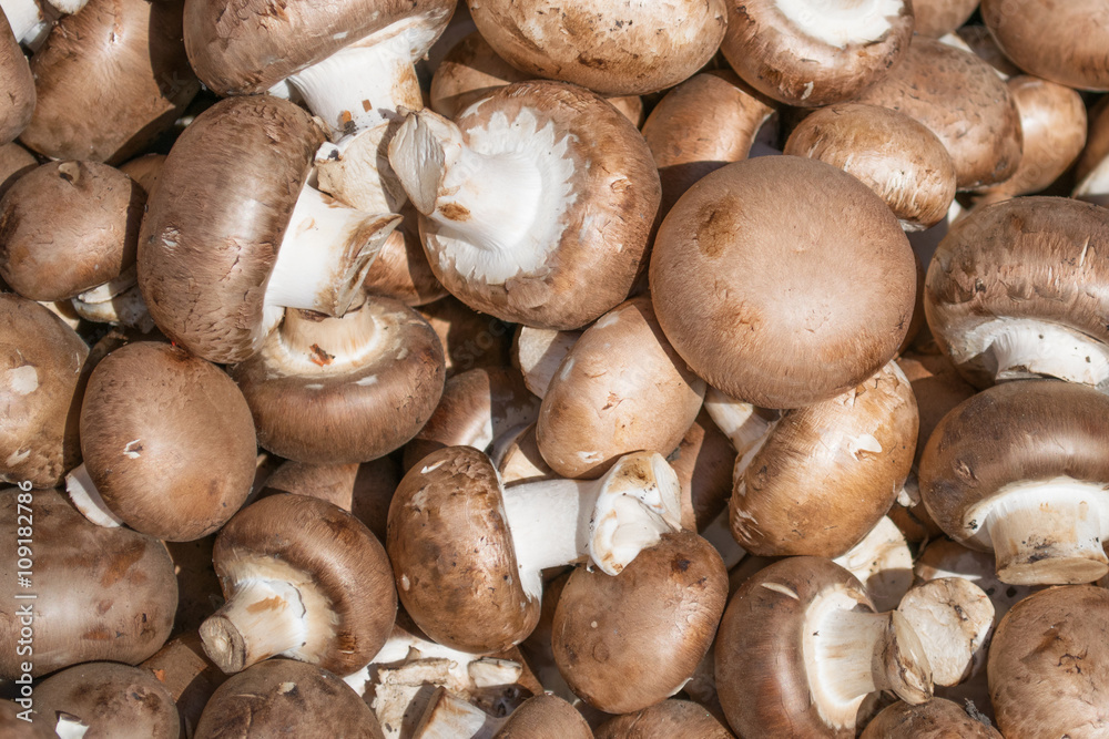 Background of whole mushrooms champignon Background of whole mushrooms champignon