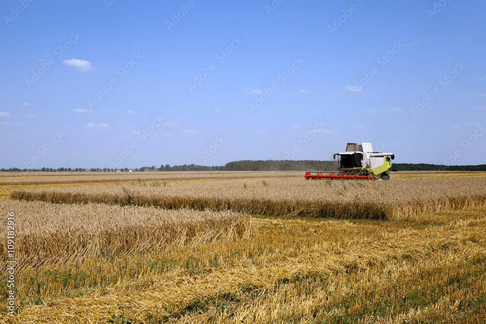  Harvester in the field