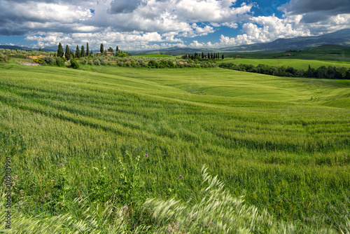 Farmland in Val d Orcia Tuscany