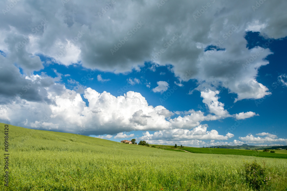 Farmland in Val d'Orcia Tuscany Farmland in Val d'Orcia Tuscany