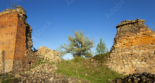 ruins of Krevo, Belarus.