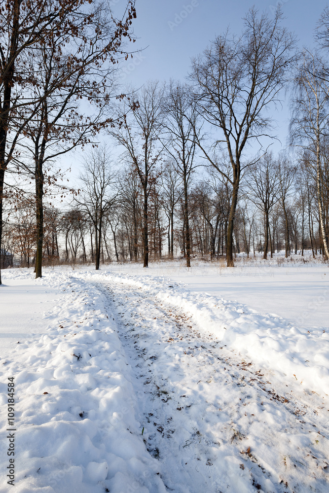 Obraz premium path in the snow 