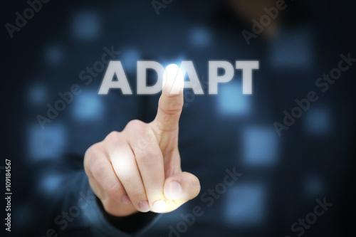 Businessman touching Adapt
