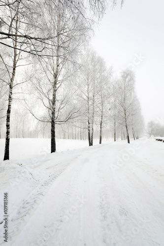 winter road  ,  with snow © rsooll