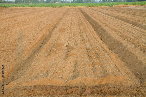 Plow the soil for garden