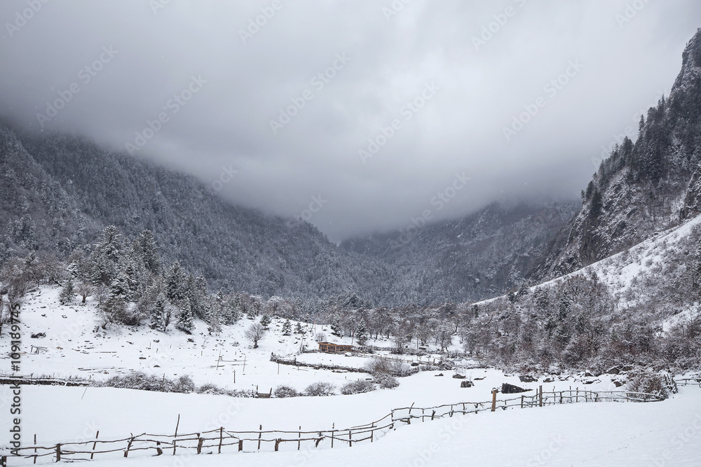 Obraz premium Country in snow