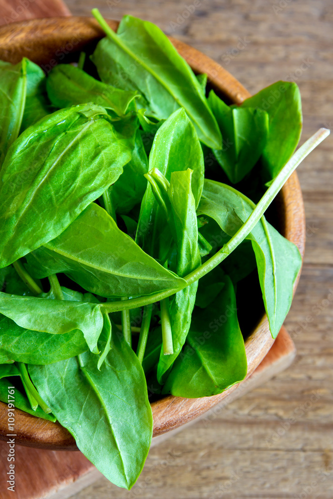 sorrel leaves sorrel leaves