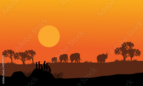Elephant and rhino silhouette 