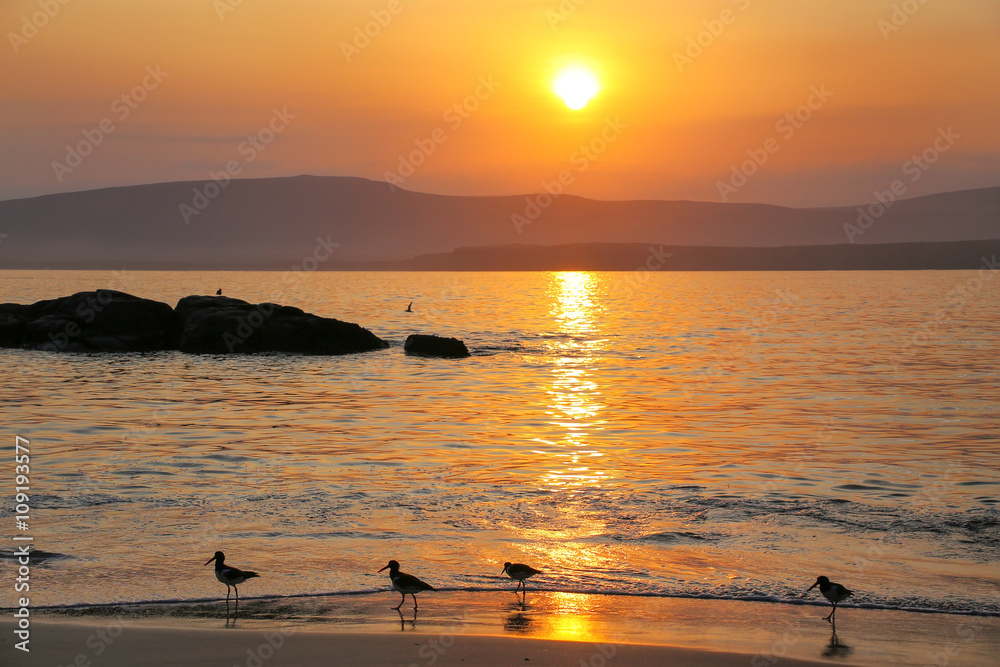 Sunrise at La Mina Beach with silhouetted sandpipers, Paracas Na