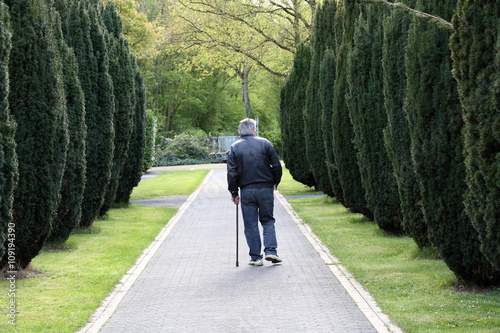 an elderly man walking along the alley in a cemetery