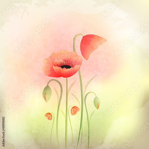 Springtime Watercolor Poppy Flower Background