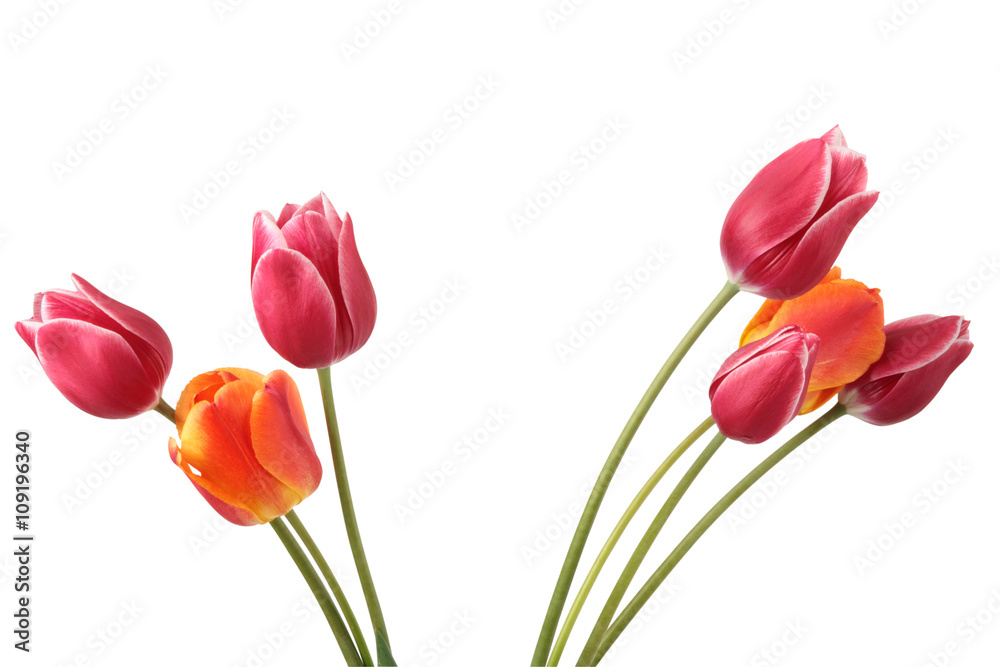Flowers Flowers