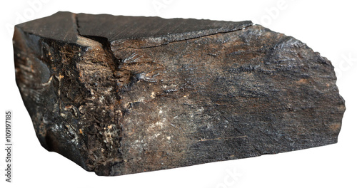 specimen of raw Jet (lignite, brown coal) gemstone