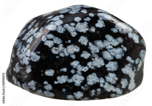 tumbled Gray snowflake obsidian gemstone isolated