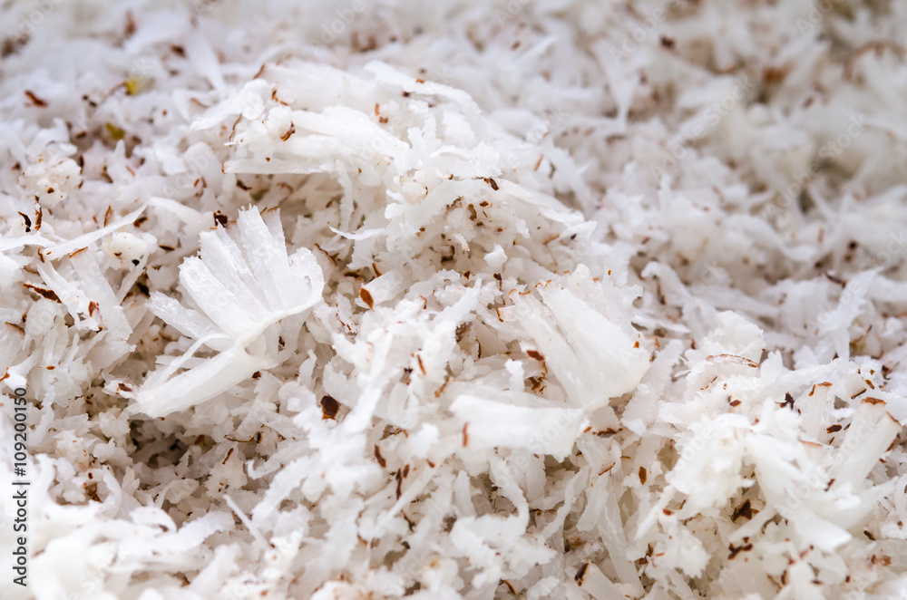 Freshly grated coconut Freshly grated coconut