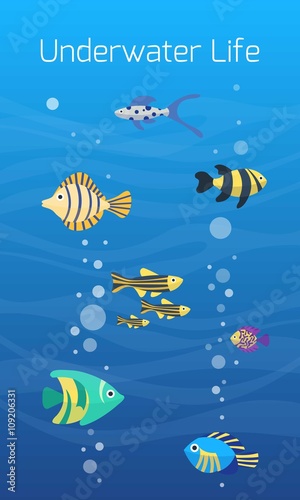 Underwater world. Cute cartoon colorful different fish. Aquarium underwater life. Flat vector icons. Aquarium fish