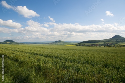 Hills Oblik , Rana and Mila in the Ceske Stredohori, Czech republic