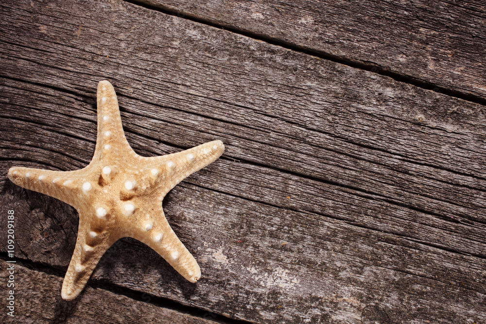 Sea shells on wooden background. Starfish Sea shells on wooden background. Starfish