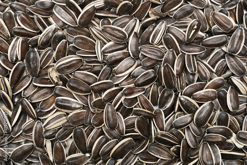raw sunflower seeds