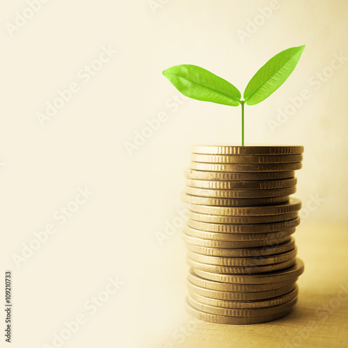 Growing plant on row of coin money for finance and banking concept

