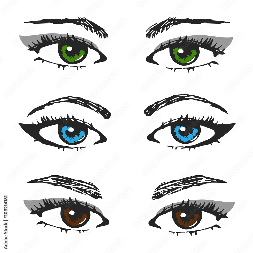 set of female eye sketches.different types of eyebrows and the color of the pupil.