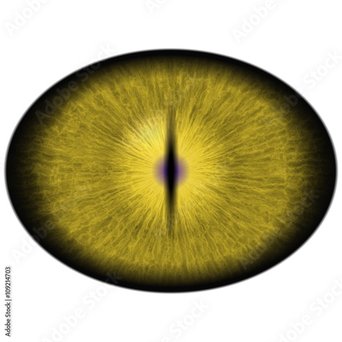 Fototapeta Naklejka Na Ścianę i Meble -  Isolated yellow eye. Yellow green striped iris around elliptic bright yellow retina