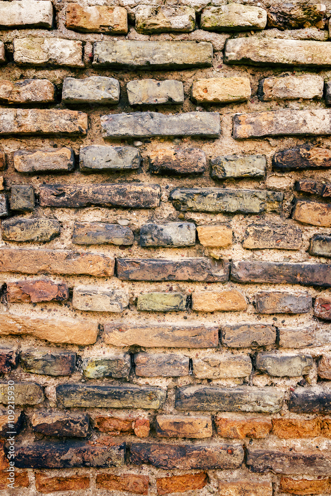 Obraz premium Brick Wall Texture