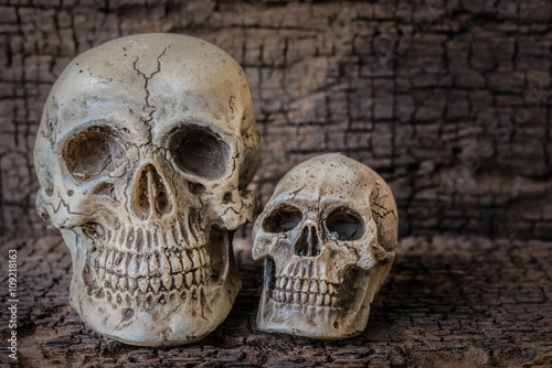 Still life with two human skull on grungy wooden table and vintage wooden bac...