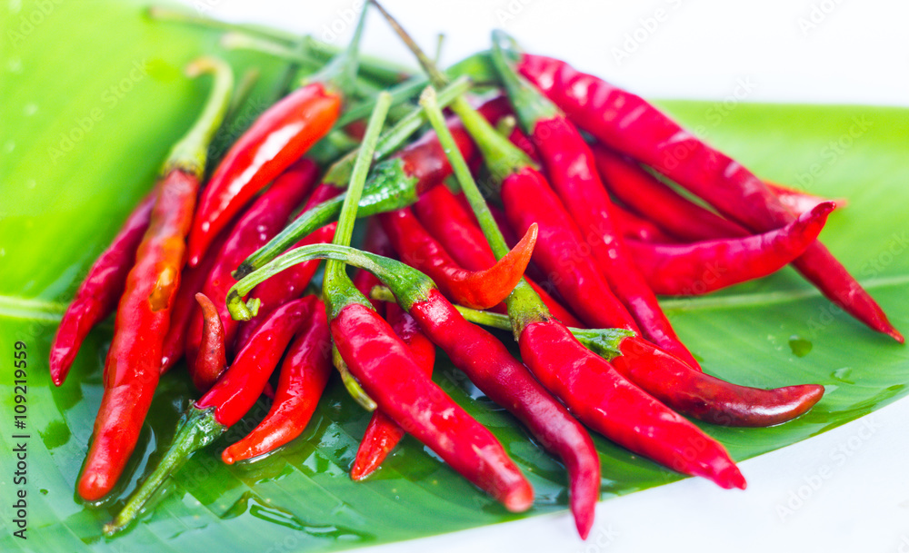 red chilli is very hot in thai food