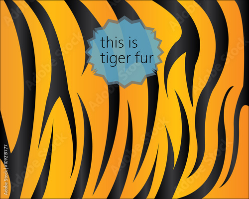 Fototapeta Naklejka Na Ścianę i Meble -  Big tiger fur texture, digital vector image