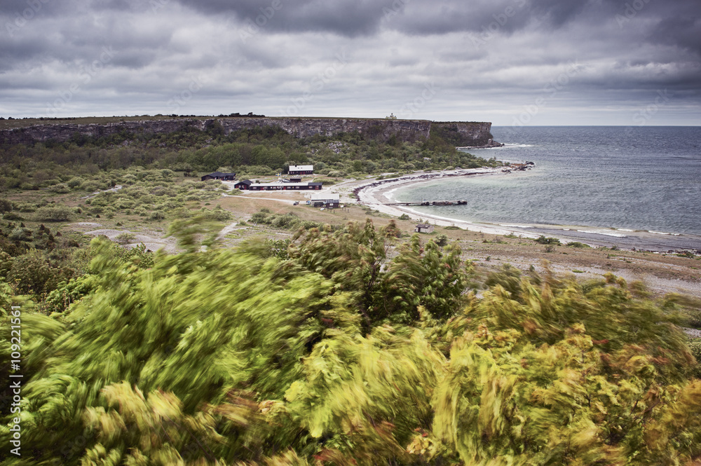 View of sandy beach at windy day View of sandy beach at windy day