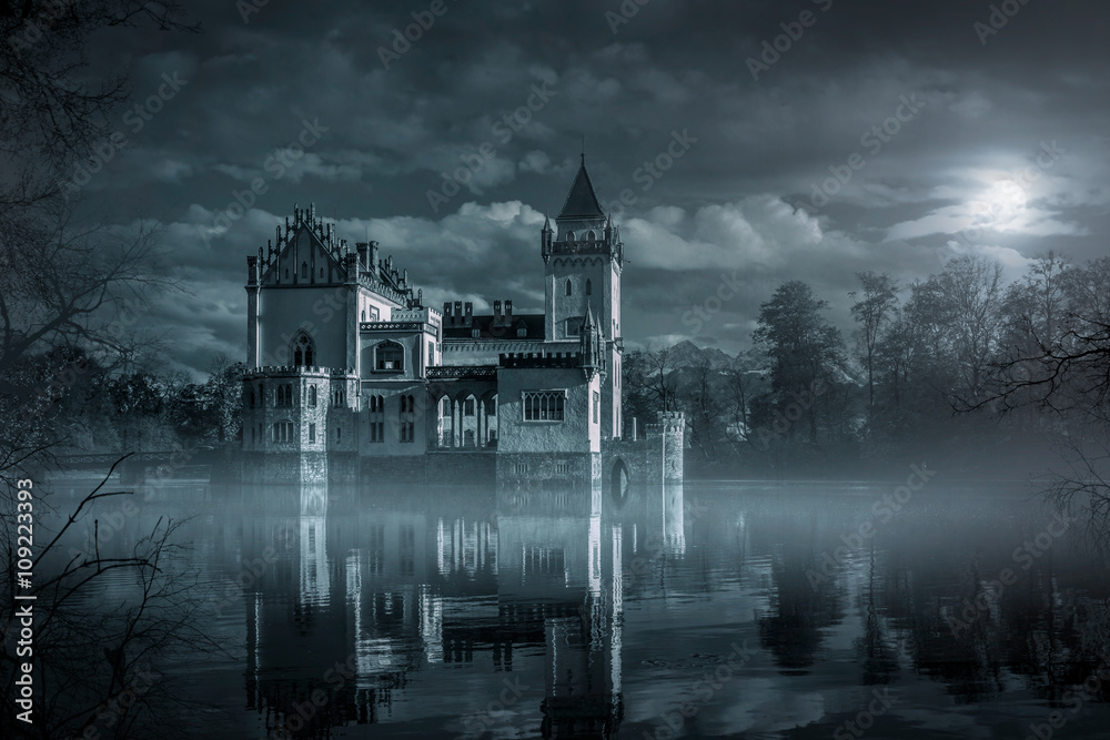 Mystic Water castle in moonlight - obrazy, fototapety, plakaty 
