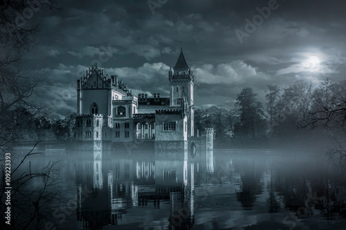 Fényképezés Mystic Water castle in moonlight