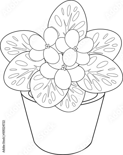 coloring page with african violet flower in pot