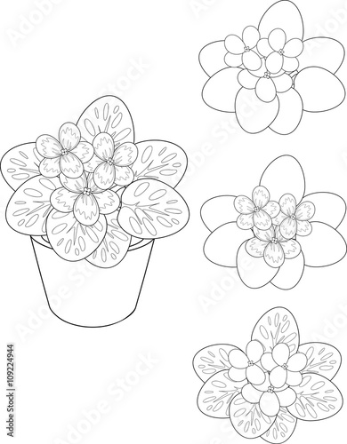 coloring page with african violet flower in pot