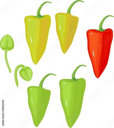 pepper set