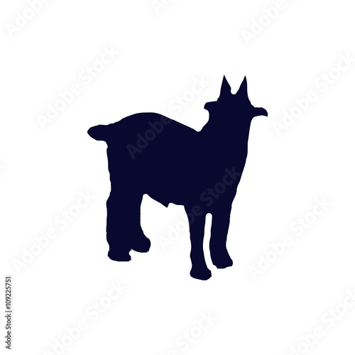  billy goat silhouette 