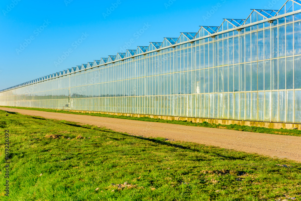 The evening sunshine is making this greenhouse glow with a golden shimmer against a blue sky. The evening sunshine is making this greenhouse glow with a golden shimmer against a blue sky.