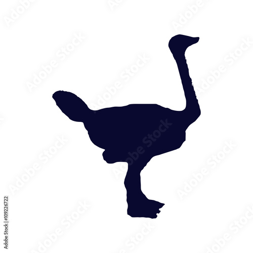 ostrich silhouette