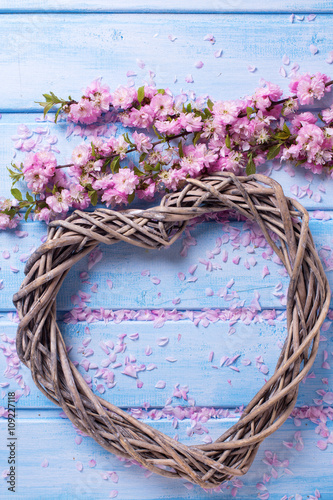 Big decorative  heart and pink sakura flowers  on blue wooden ba