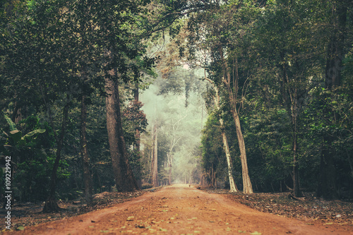 Dirt road stretching through Cambodian jungle.
