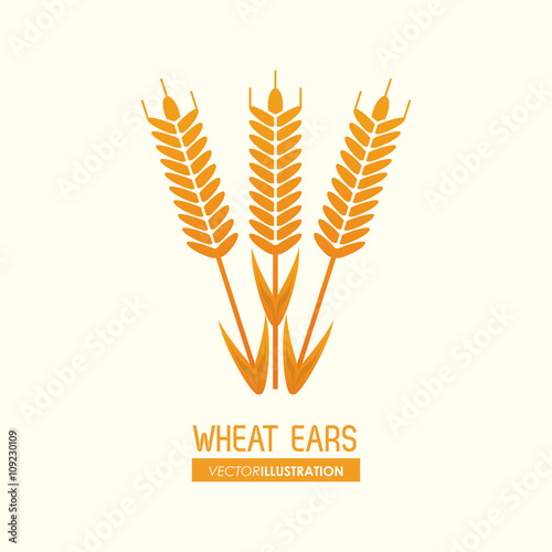 Wheat ears design, farm and agriculture concept, ve