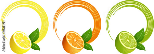 Citrus fruit round frame
