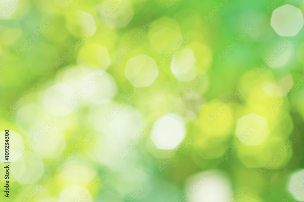 Sunny abstract green nature blurred background, eco spring concept Sunny abstract green nature blurred background, eco spring concept