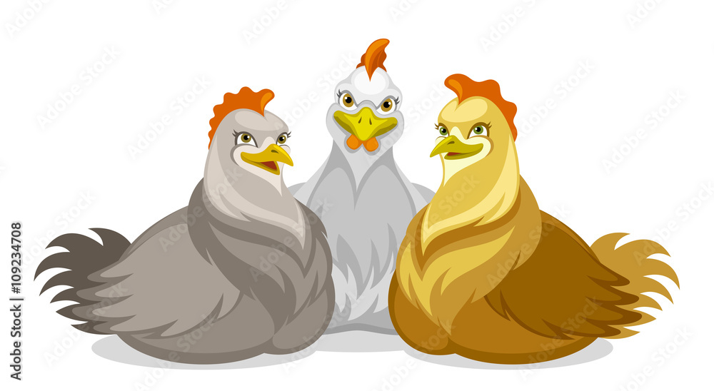 Three chickens Three chickens