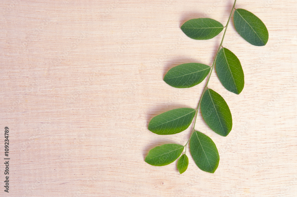 Moringa leaves on wooden board background Moringa leaves on wooden board background