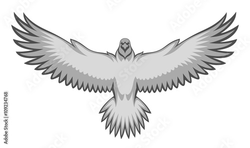 Grey eagle